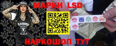 спиды Новозыбков