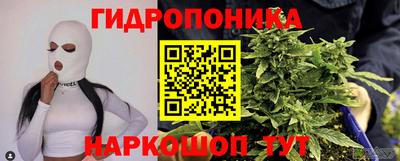 спиды Новозыбков