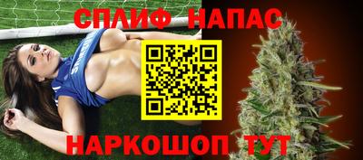 спиды Новозыбков